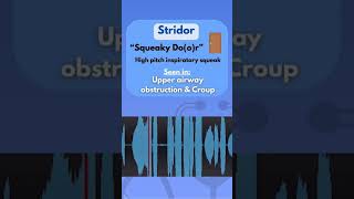 Lung sound  Related disease condition  Crackles  Ronchi  Wheezing  Stridor  Friction rub [upl. by Rayburn]