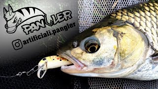 Il Minnow Killer di PANGLER ARTIFICIALI  Pesca con esche handmade Light spinning al Cavedano [upl. by Amelus]