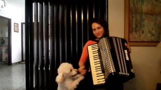 Speranze Perdute waltz Accordion [upl. by Atirma]