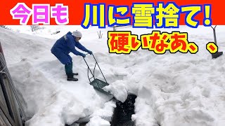 雪国・豪雪地帯の春除雪はこうやって少しづつ少しずつ粛々とすすむ。 [upl. by Yelac760]