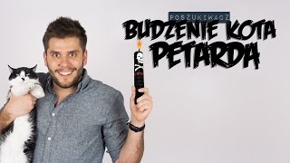 BUDZENIE KOTA PETARDĄ  Poszukiwacz 279 [upl. by Azilanna982]