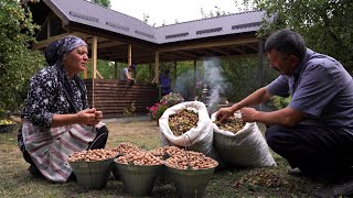 Harvesting Hazelnuts and Making Hazelnut Butter Outdoor Cooking [upl. by Adnaram]