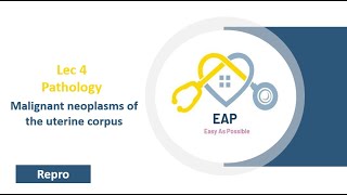 Lec 4  Pathology  Malignant neoplasms of the uterine corpus  Repro 42 [upl. by Ecnarrot]