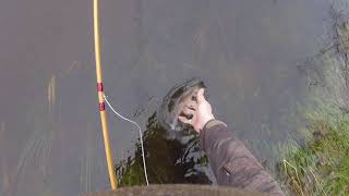 Fly Fishing for Grayling with a Cane rod on the Welsh Dee at Pontcycyllte 23122018 [upl. by Wehtta]