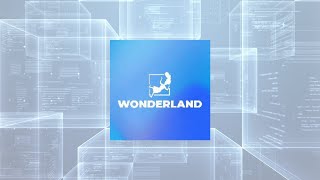 How to buy and stake Wonderland TIME [upl. by Idorb]