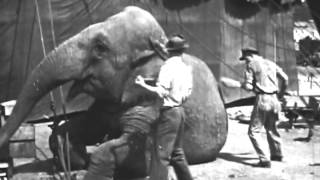 Circus Animals 1947 [upl. by Fields]