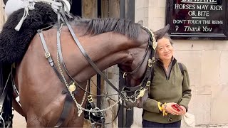 quotThe Prank Wars Tourists vs The Regal Horse at Horse Guard in Londonquot [upl. by Ynagoham]