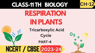 Peroxisome and Glyoxysomes  11TH BIOLOGY  CHP 4  LECTURE 14 [upl. by Ybor]