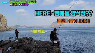 바다낚시제주도송악산사계해안긴꼬리벵에돔마라도리tvfishingonaga 마릿수 벵에돔이 가능한 송악산 동굴자리 [upl. by Claudianus450]