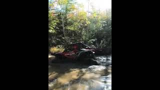 Honda Talon 1000x taking the easy line utv hondatalon [upl. by Ojeitak]