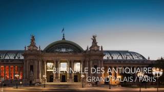 Biennale des Antiquaires 2016 [upl. by Silda]