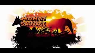 Monde sauvage dAywaille [upl. by Moreville]