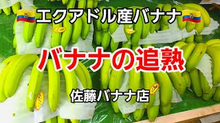 佐藤バナナ店 緑色のバナナを買ってきて自宅で追熟させて食べてみました！ [upl. by Bivins]