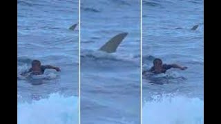 Puerto Rico English News Week 12202021 Video Massacre at Cidra Mass shooting Shark stalks men [upl. by Anaig380]