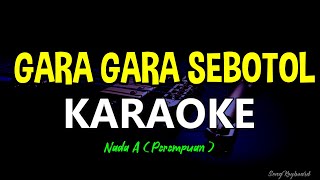 GARA GARA SEBOTOL MINUMAN  KARAOKE Nada Wanita  REVINA [upl. by Octavian]