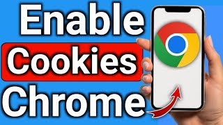 How to Enable Cookies on Google Chrome [upl. by Aramoj]