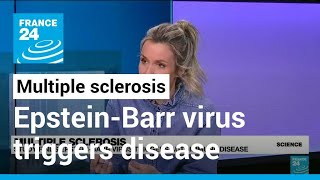 Multiple sclerosis Study finds EpsteinBarr virus triggers autoimmune disease • FRANCE 24 English [upl. by Ahsinom]