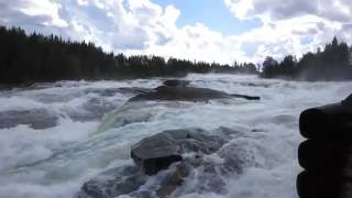 Storforsen Waterfall  Sweden [upl. by Adnohrahs]