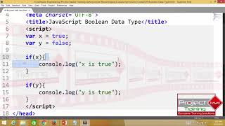 015 JavaScript for Absolute Beginners Urdu Hindi Boolean Data Type [upl. by Somerville]