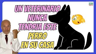 🔴 LAS DOS RAZAS DE PERROS QUE LOS VETERINARIOS NUNCA TENDRÍAN EN CASA 🐶 [upl. by Killarney]