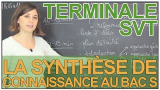 Lépreuve de SVT au bac S  la synthèse de connaissances  SVT  Terminale  Les Bons Profs [upl. by Almeda]