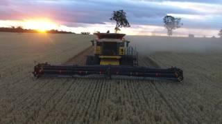 Grain Harvest  Broadacre Farming Western Australia [upl. by Poppy]