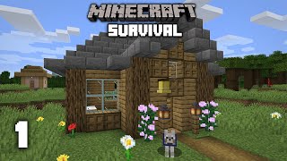 Minecraft A New Beginning  116 Survival Lets play  Ep 1 [upl. by Wurster]