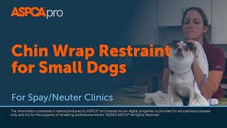 SpayNeuter Gentle Animal Handling Chin Wrap Restraint for Small Dogs [upl. by Vokay]