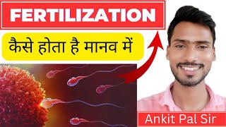 ll मानव में निषेचन ll Fertilisation in Human ll Complete Information ll by Ankit Pal Sir ll [upl. by Aleyak659]