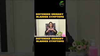 Distended Urinary Bladder Symptoms distendedurinarybladder bladderproblems urinaryretention [upl. by Nnazil536]