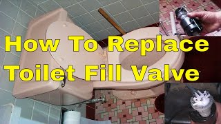 How To Replace Toilet Fill Valve With New Fluid Master kit [upl. by Enrico]