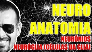 Neurônios e Células da Glia  Sistema Nervoso  Neuroanatomia  VideoAula 082 [upl. by Dupin]