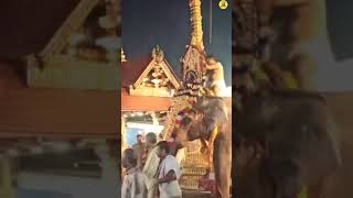 சுவாமியே சரணம் ஐயப்பாsabarimala shorts [upl. by Eelik409]