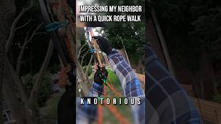 Impressing My Neighbor With A Quick Rope Walk treeclimbing arborist climbing rope ropewalk [upl. by Hussein]