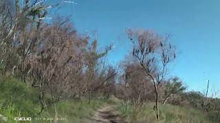 Chasing MS  St Ives Showground trail  15 Sep 2024 [upl. by Clardy343]