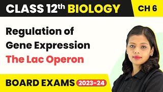 Class 12 Biology Regulation of Gene Expression  Class 12 Biology Chapter 6 The Lac Operon 202223 [upl. by Julita]