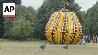 Large pumpkin sculpture by Japanese artist Yayoi Kusama unveiled in London’s Kensington Gardens [upl. by Nnyletak]