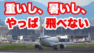 気温の異常な上昇により飛行機の離陸をやり直す事態に。 [upl. by Brian54]