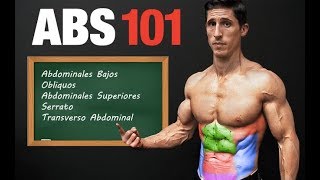 ABS 101 ¡Plan Paso por Paso Para un Six Pack TRABAJA TODAS LAS AREAS [upl. by Procora810]