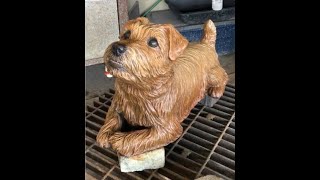 Norfolk Terrier “Detour” bronze by Sondra Alexander Art [upl. by Aihsatal881]