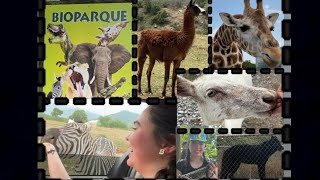 Visitando el Bioparque Estrella en Monterrey  Safari  Zoológico  Atracciones [upl. by Ainak]