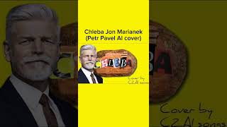 Jon Marianek  CHLEBA Petr Pavel AI cover [upl. by Ramonda293]