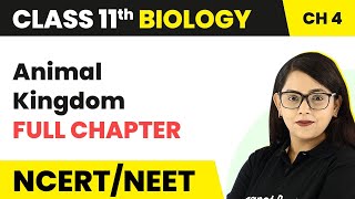 Animal Kingdom  Full Chapter Explanation  Class 11 Biology Chapter 4 [upl. by Munafo]