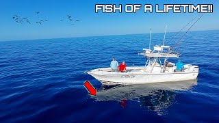 20 MILES Offshore When We Hooked the FISH OF a LIFETIME CATCH and COOK [upl. by Norrat501]