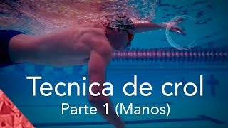 Como nadar crol correctamente Parte 1 Técnica Manos Estilo libre natación [upl. by Dhaf668]