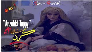 Karan Khan New Tappy  Slowed and Reverb  Pashto new slowed and reverb  Pashto song 2023 540p [upl. by Uuge548]