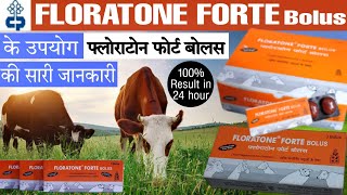 floratone forte bolus use in hindi vetbolus veterinarymedicineveterinarymedicinereviewhindi [upl. by Sihun]