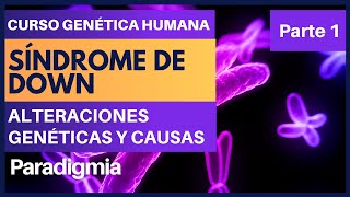 Que es el Sindrome de Down  Cariotipos del Síndrome Down ✅ Curso de Genética 001 [upl. by Margaretta]