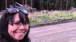 hunting Haida Gwaii style 2015 [upl. by Wanfried]