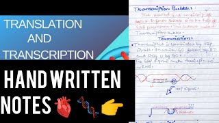 Mutation❤transcription and translation😍🧬 class 12 biologyeasynotes handwrittennotes [upl. by Wehhtam556]